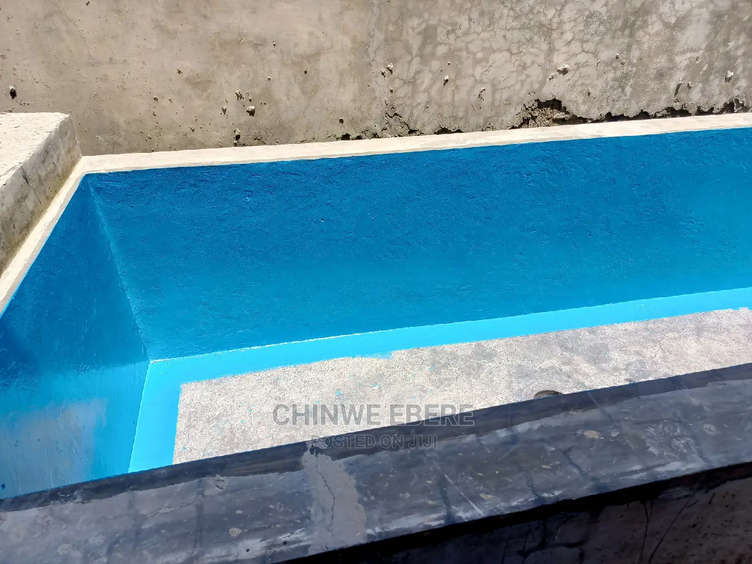 Koi Epoxy Painting and Swimming Pool Epoxy Painting