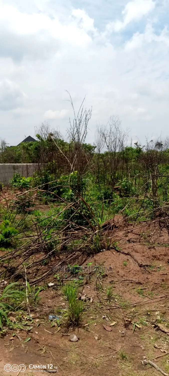 A Plot of Land