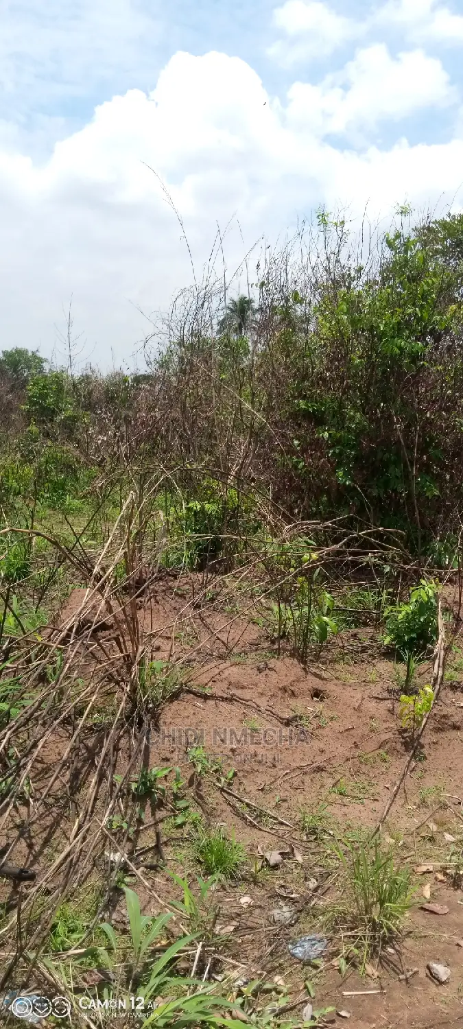 A Plot of Land