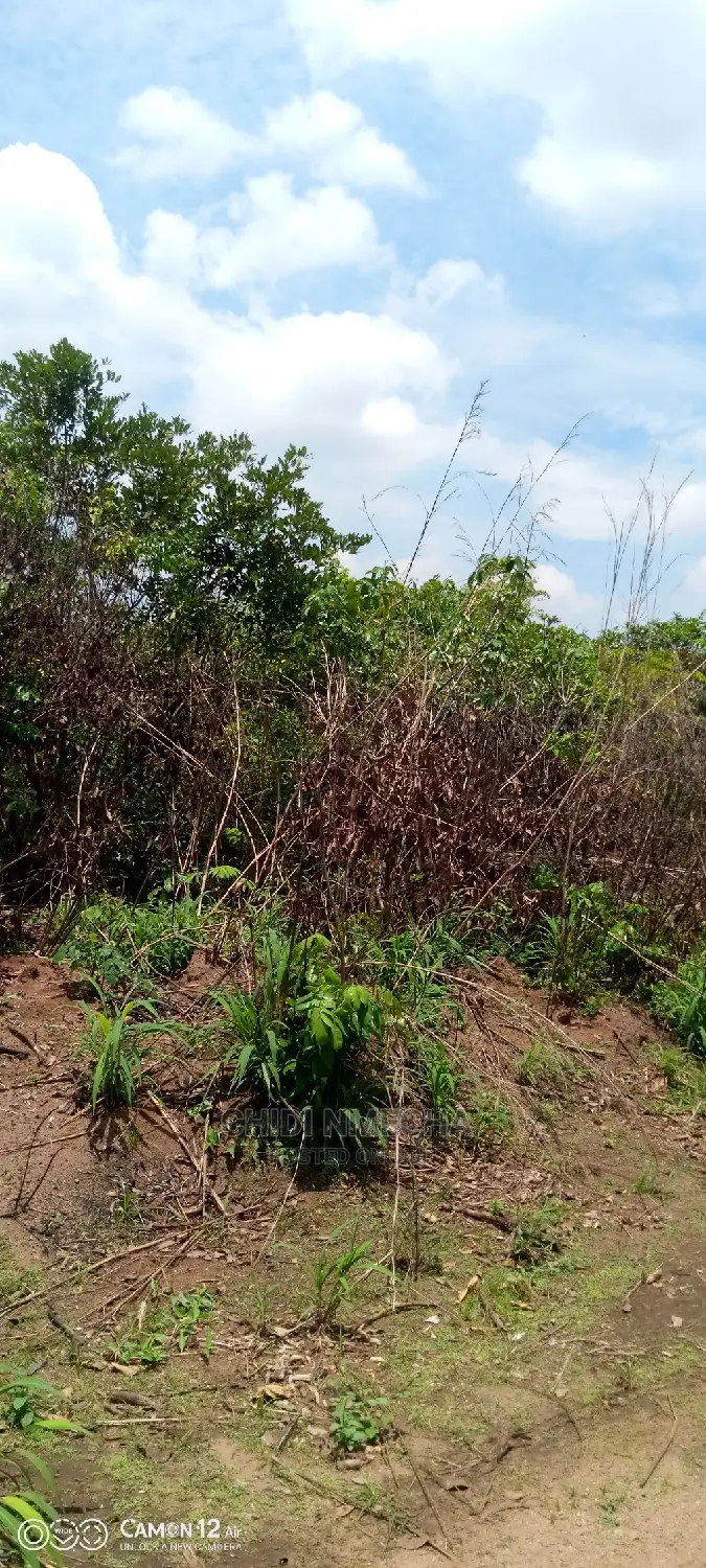A Plot of Land