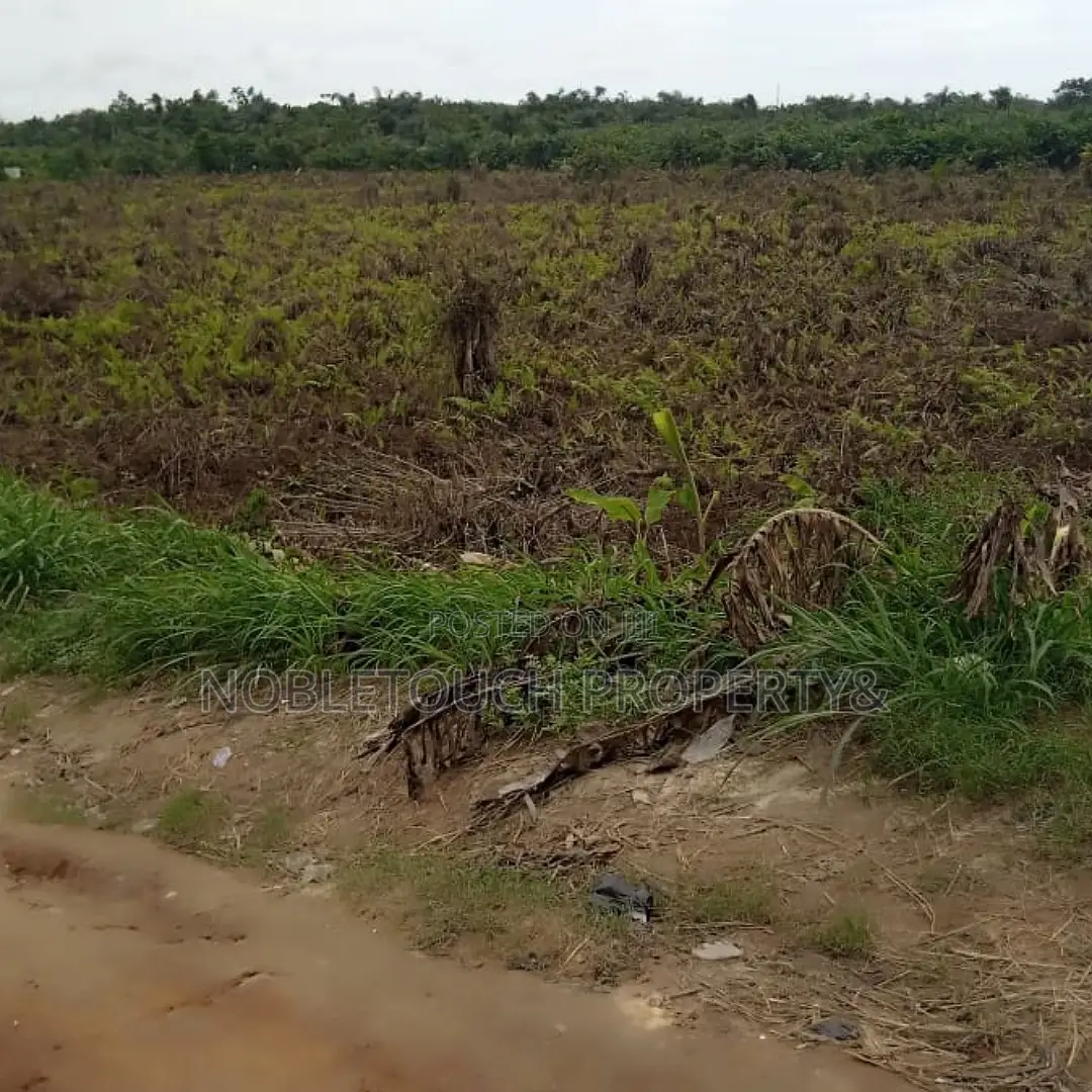 Acres and Plots of Land Along Ikotun Egbe for Sale