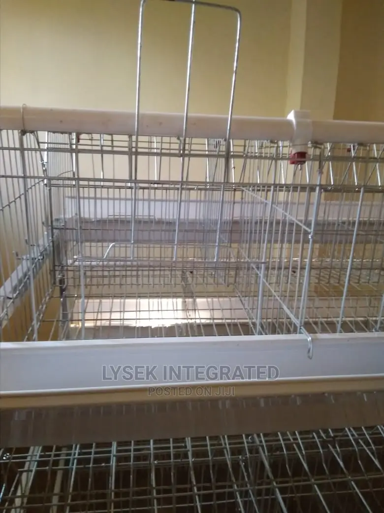 Imported Cage