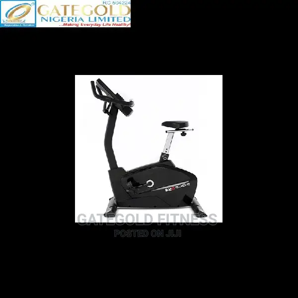 B54 Sole Upright Bike