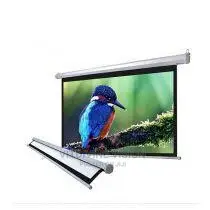 Projector Screen 72 X 72 Electric