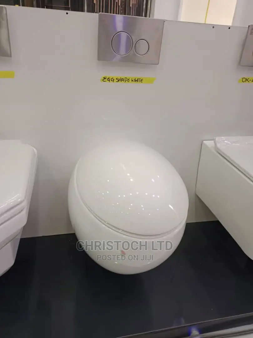 Wall Hung Water Closet-Y100r4