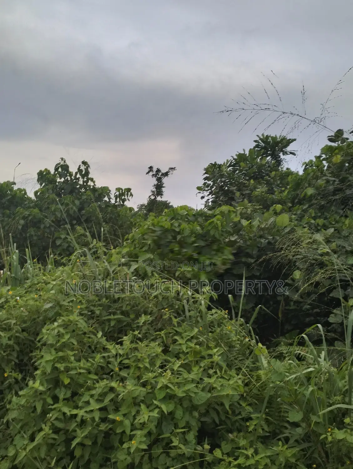 10acres of Land Along Lasu Igando for Sale