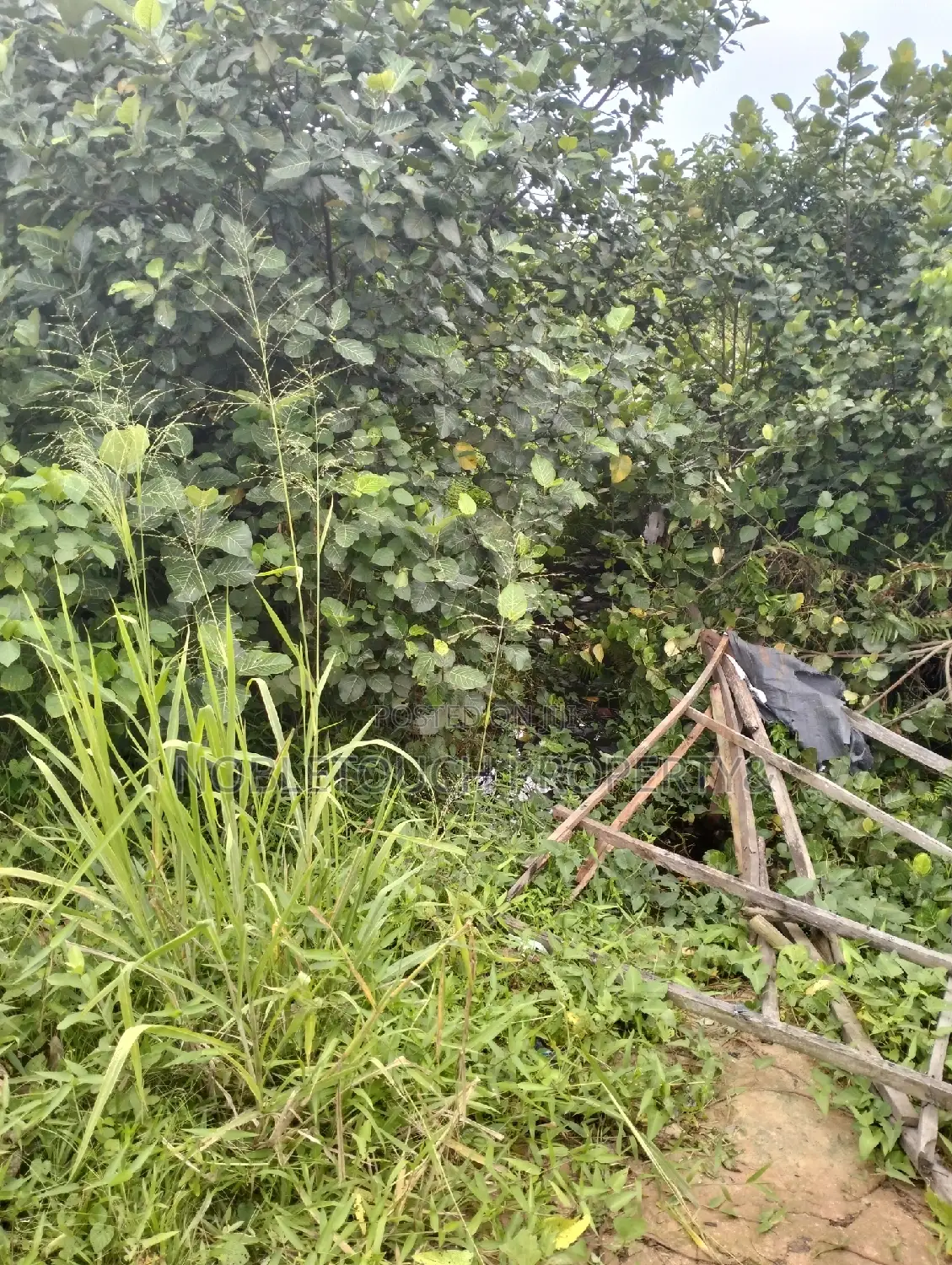 10acres of Land Along Lasu Igando for Sale