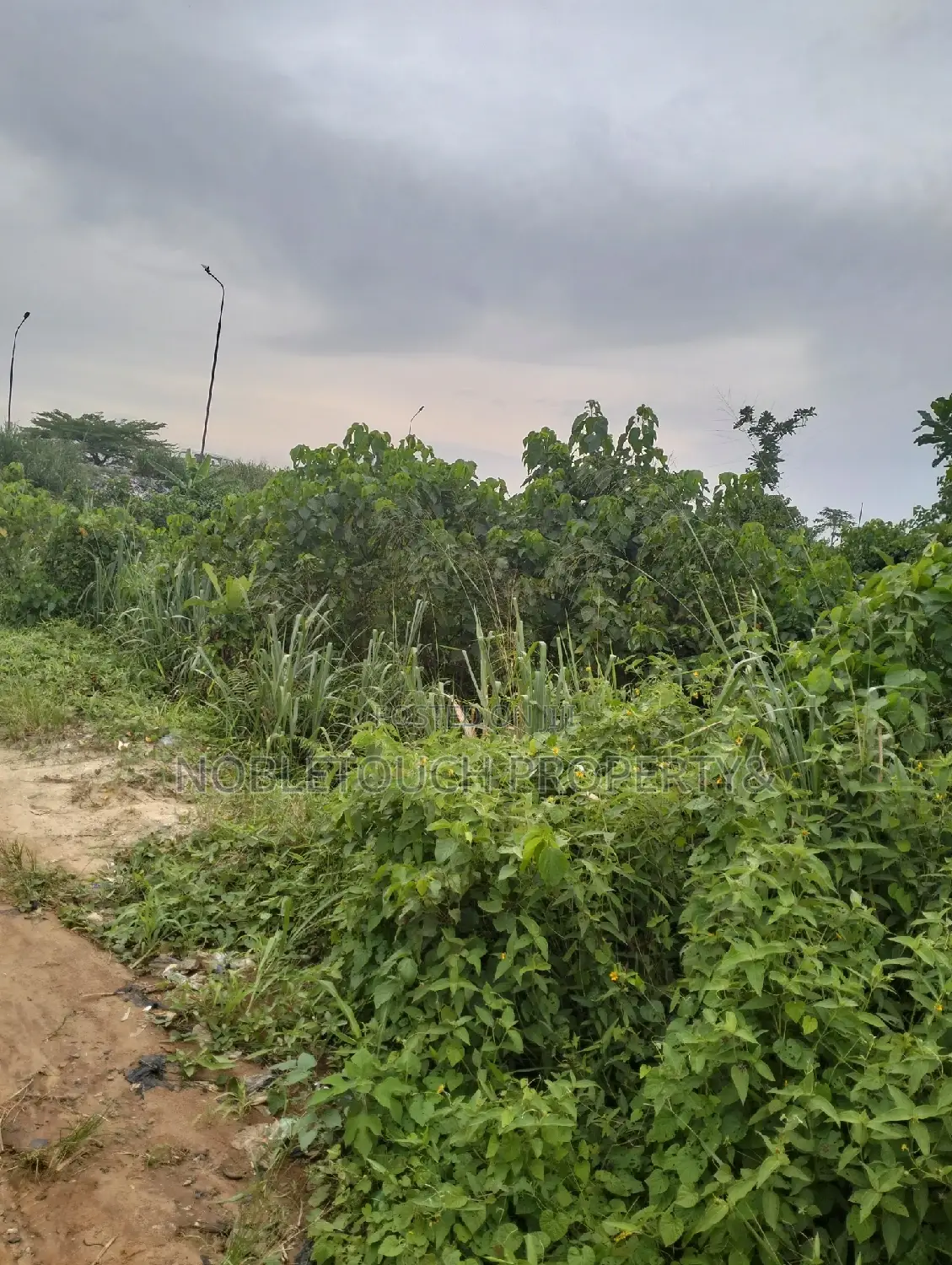10acres of Land Along Lasu Igando for Sale
