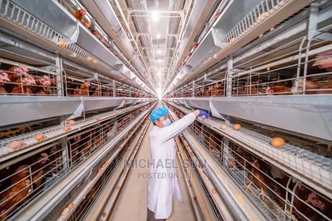 Automatic Battery Cage Poultry Cage