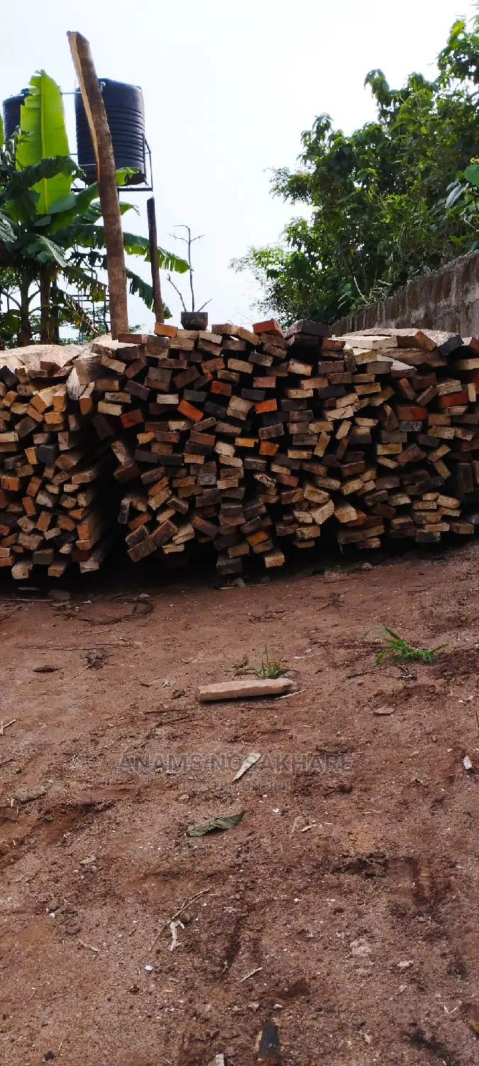Your Roofing Woods Plug