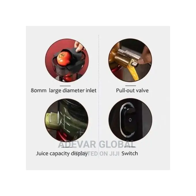 Sokany Whole Fruit Multifunctional Slow Juicer 300w