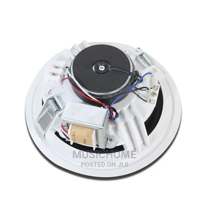 High Quality 30W POP Inceiling Speakers