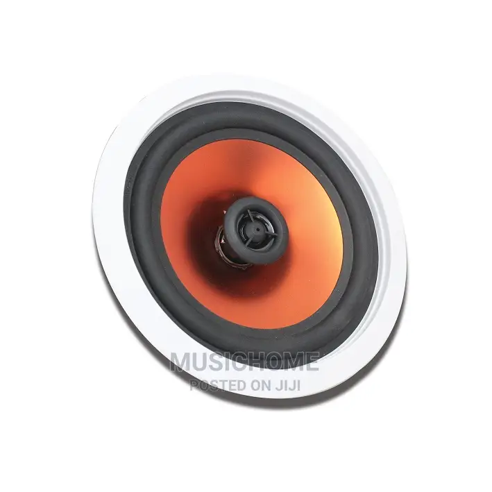 High Quality 30W POP Inceiling Speakers