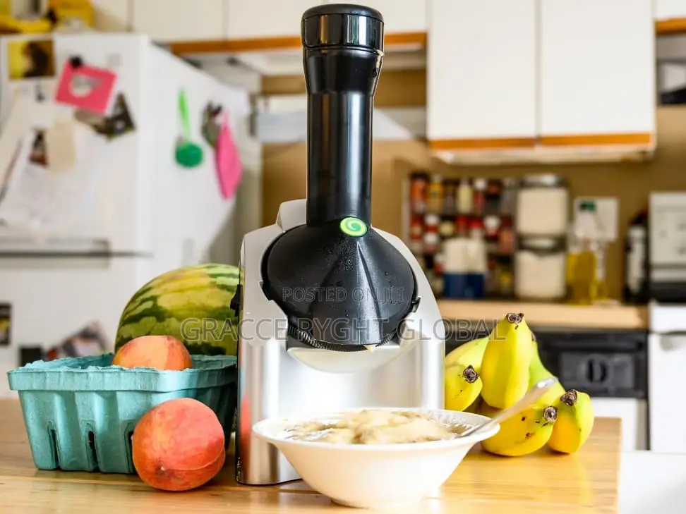 Dessert/Fruit Ice Cream Maker