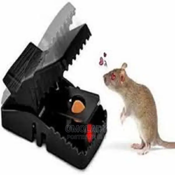 Rat Trap Catcher - Bait Mouse Trap