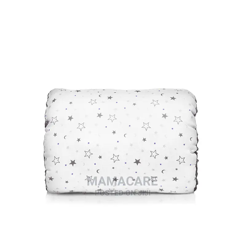 Lansinoh Breastfeeding Pillow