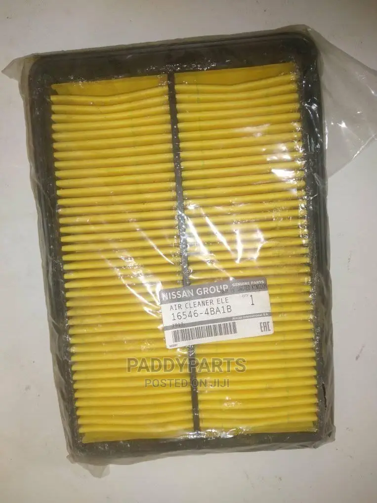 Nissan Qashqai Air Filter