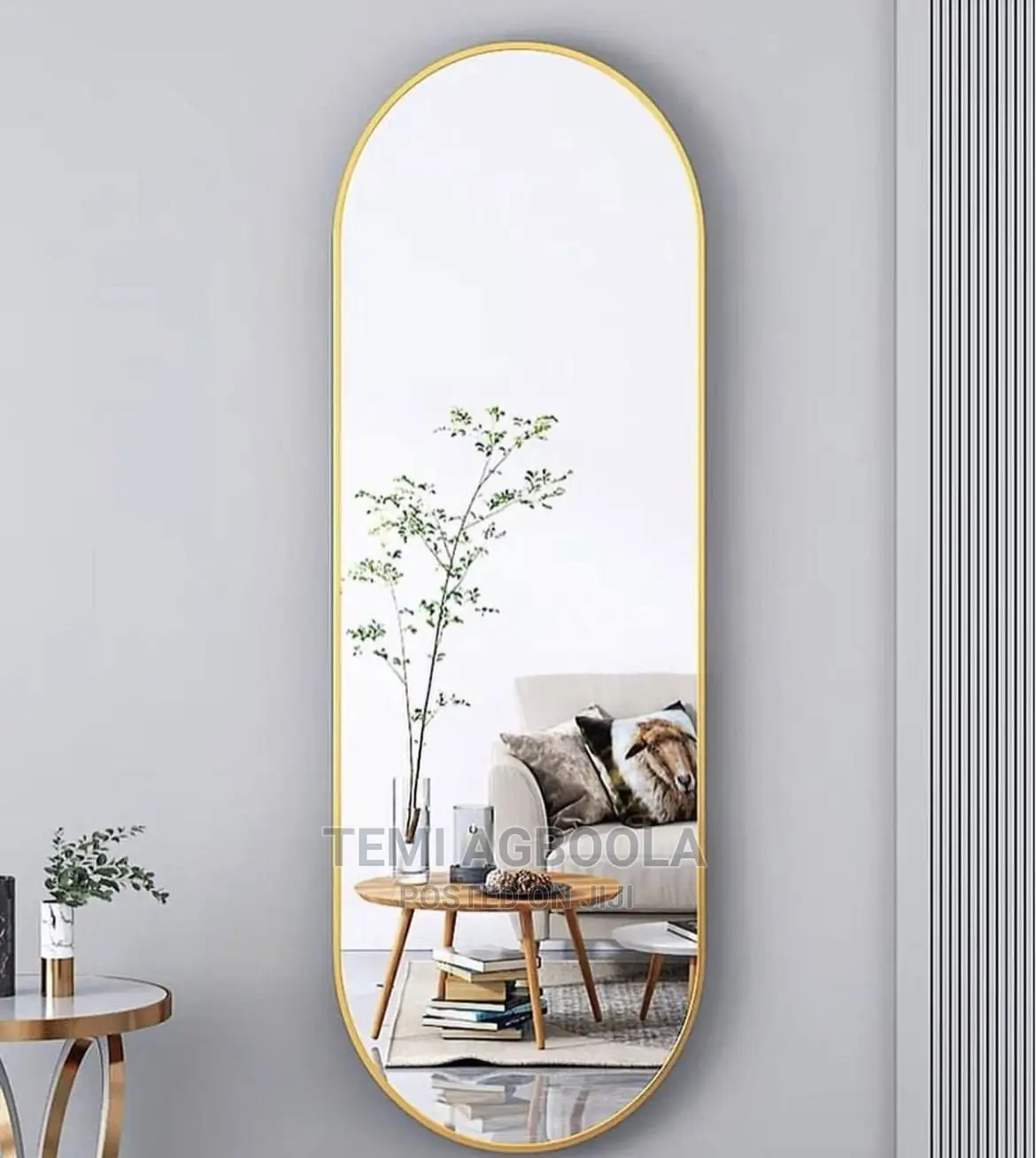Wall Mounted Mirror