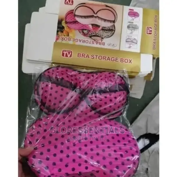 Portable Travelling Bra Bag and Accessories