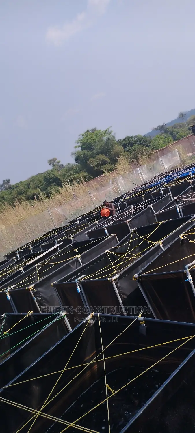 Mobile Fish Pond