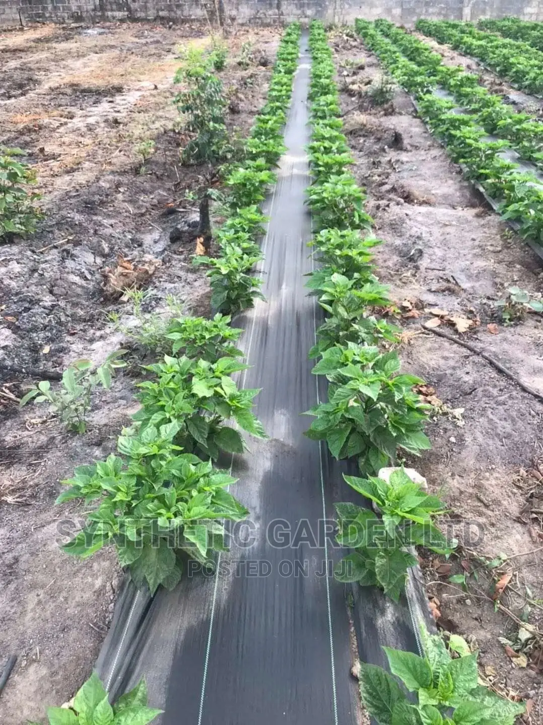Woven Weeding Mat