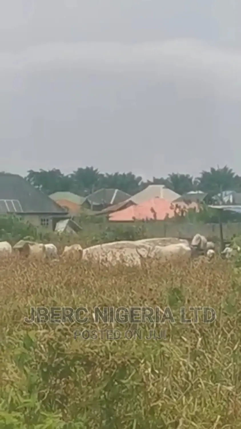 Plots of Land With Excision for Sale in Ajah