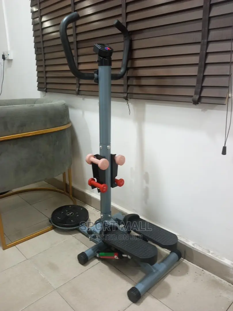 Standing Exercise Stepper With Dumbells and Twister