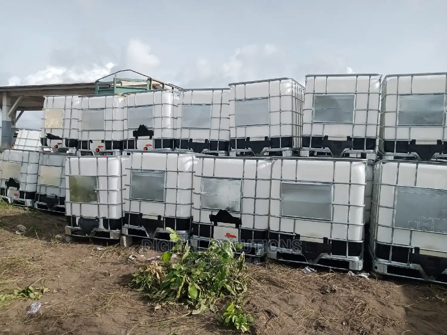 1000 Litres Ibc White Tote Tank.
