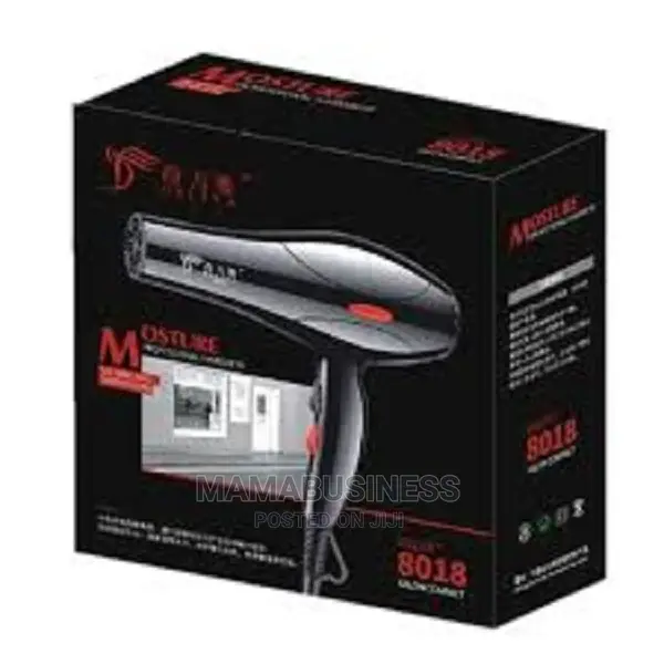 Professional Quick Dry Hair Dryer