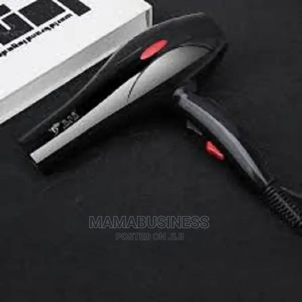 Professional Quick Dry Hair Dryer