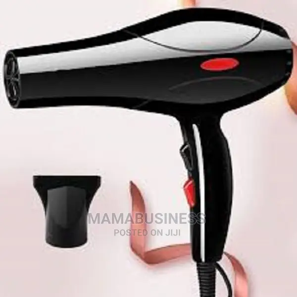 Professional Quick Dry Hair Dryer