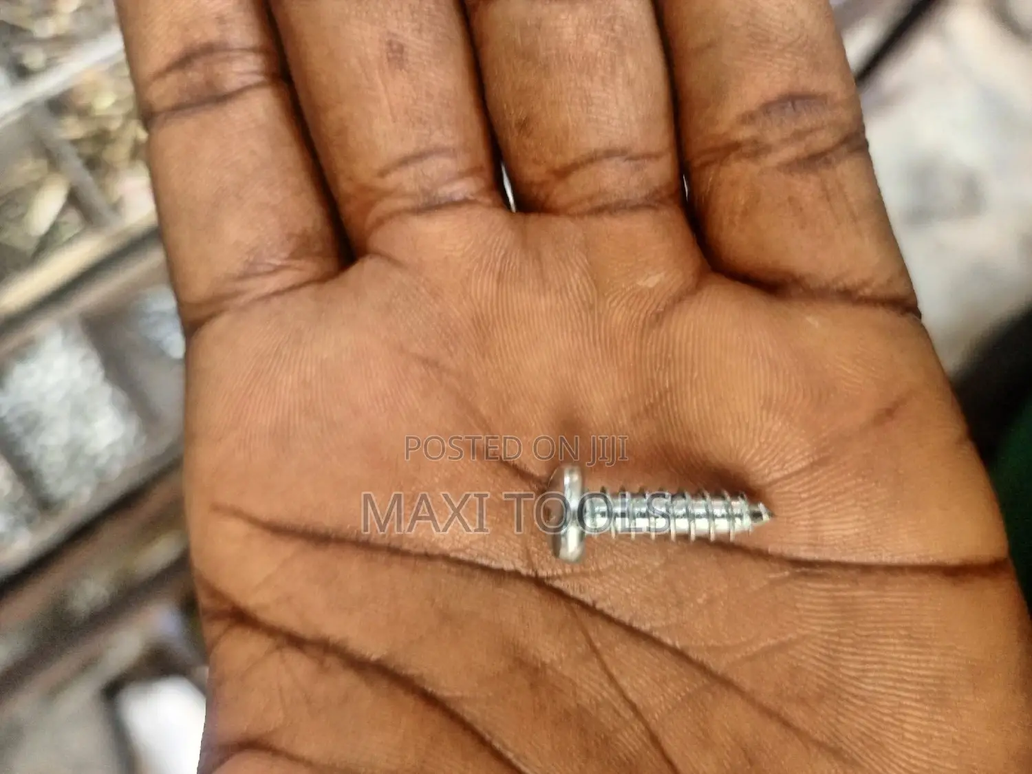 Screw Bolts