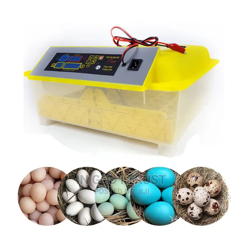 HHD 56eggs Automatic Farm Egg Incubator Poultry Hatching Mac