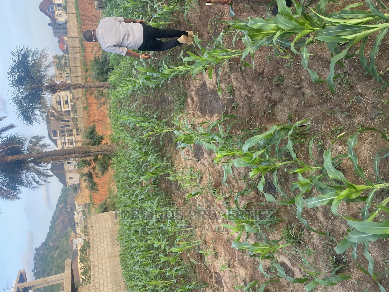 FCDA Plot of Land for Sale.