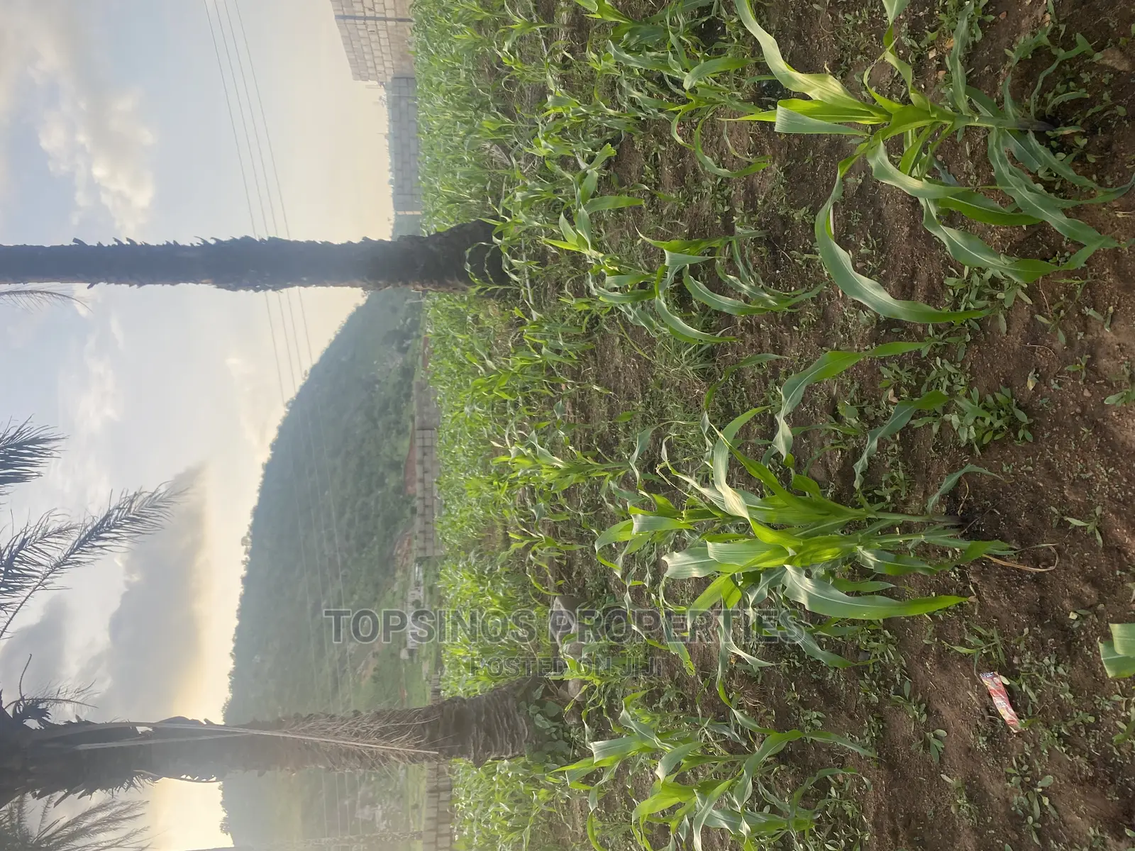 FCDA Plot of Land for Sale.