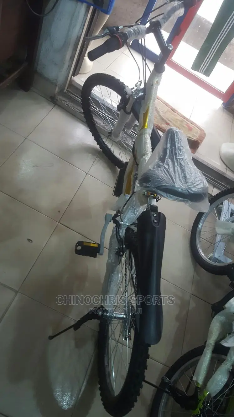 Adult Cycling Bike