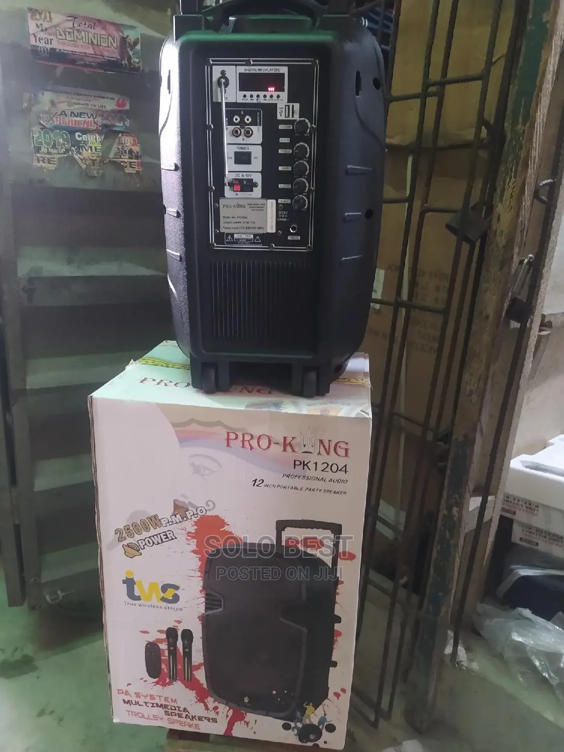 12 Inches PRO KING PA System