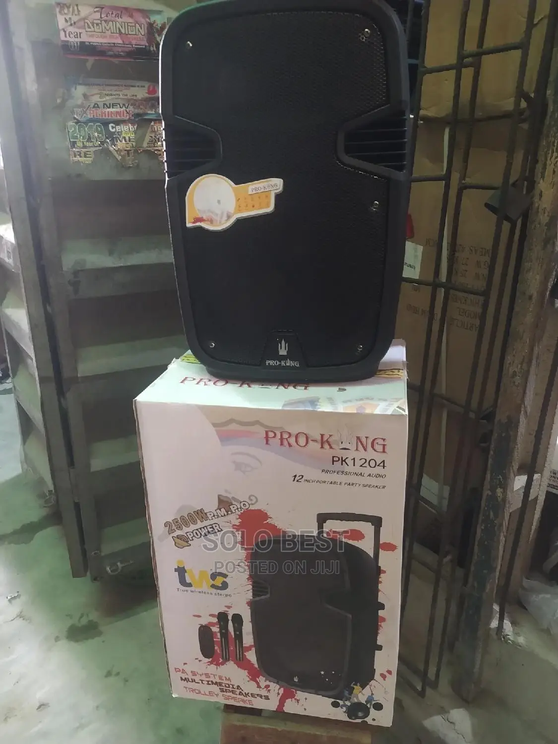 12 Inches PRO KING PA System