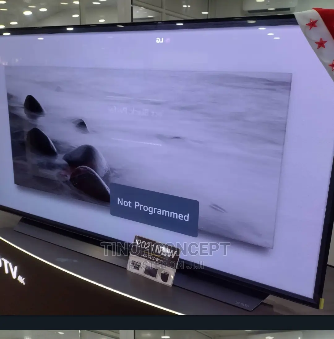 LG OLED 65 Inches Television