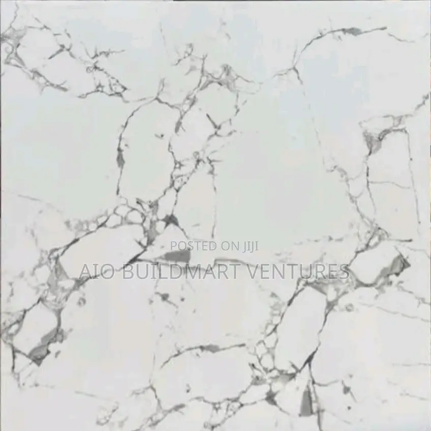 60 X 60 Polished Floor Tiles