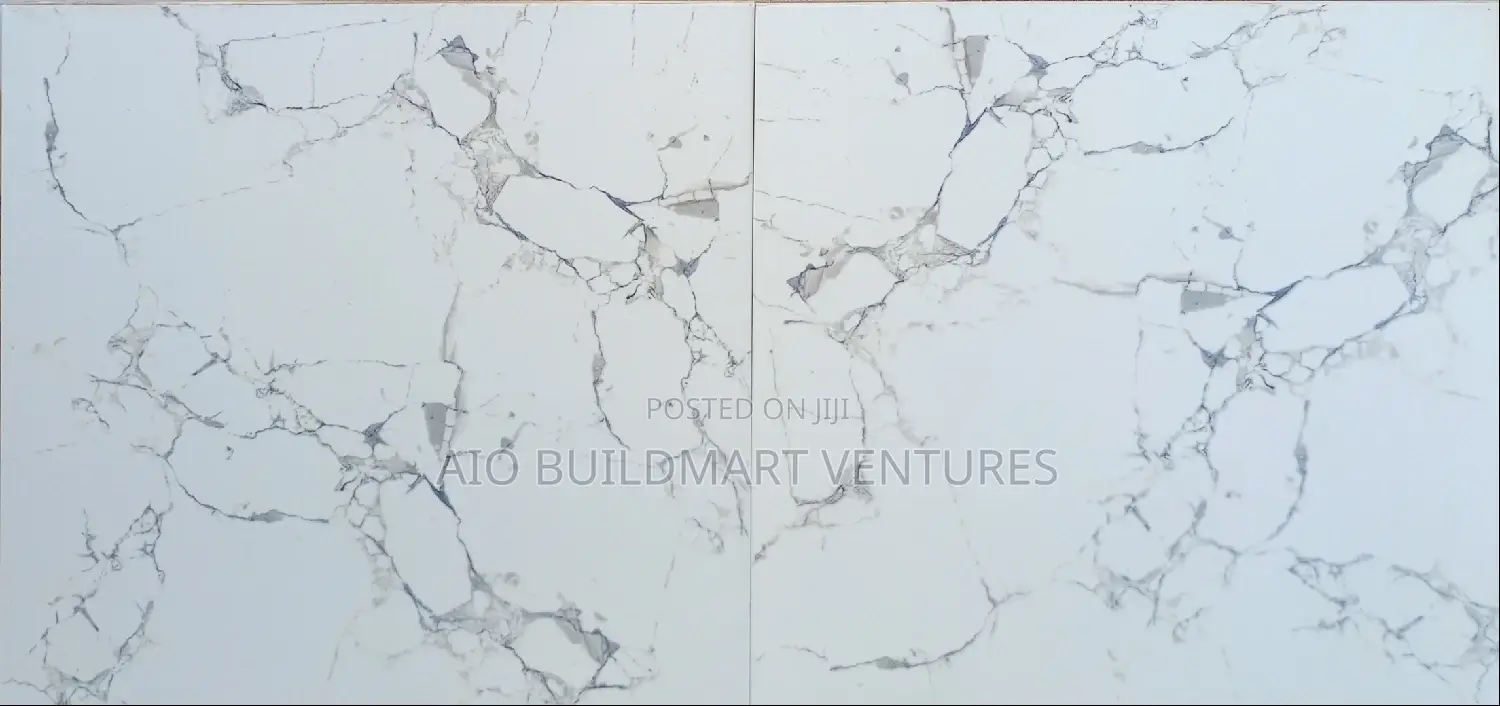 60 X 60 Polished Floor Tiles