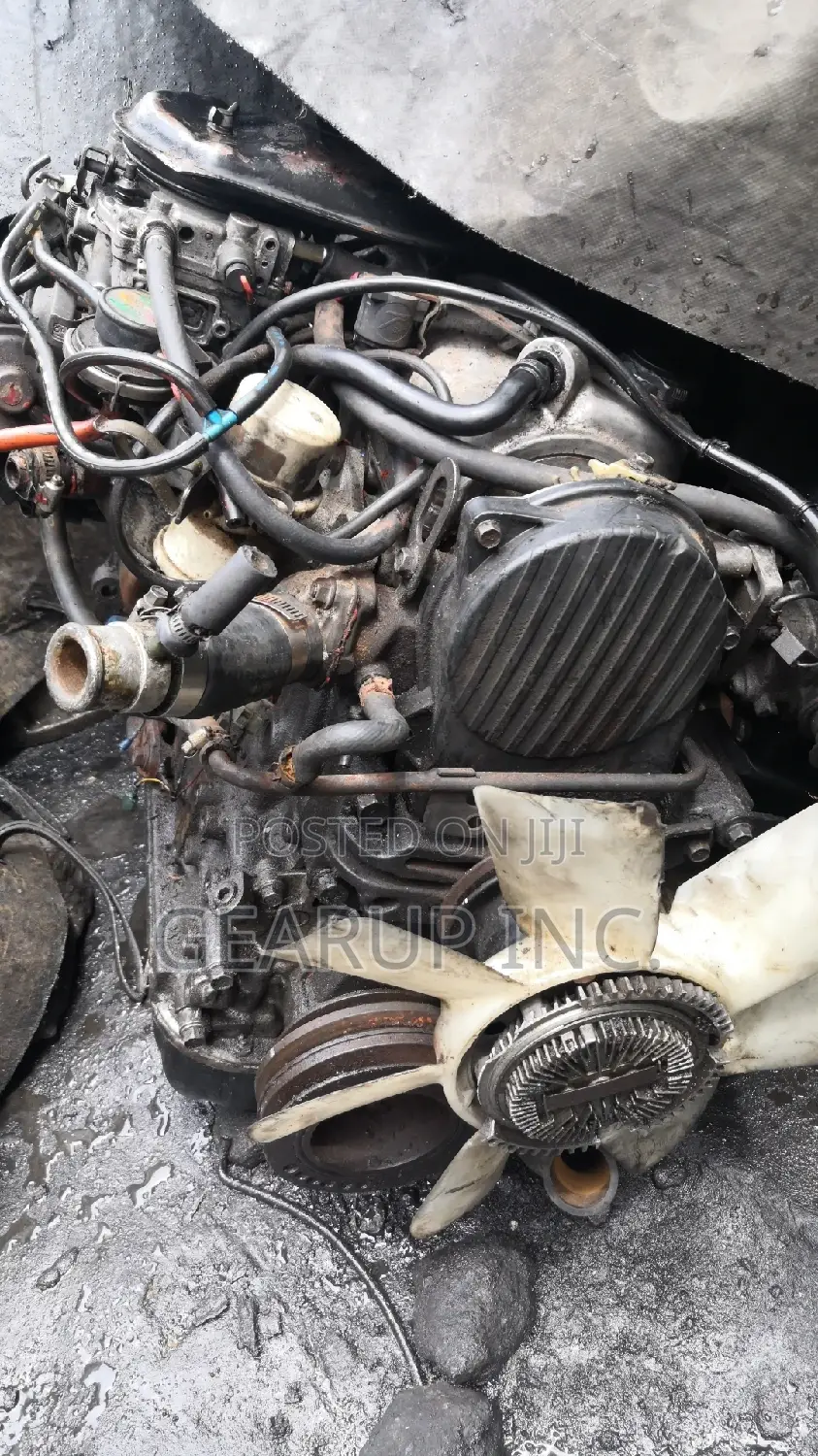 Direct Belgium Complete Engine for Ford Bus F8