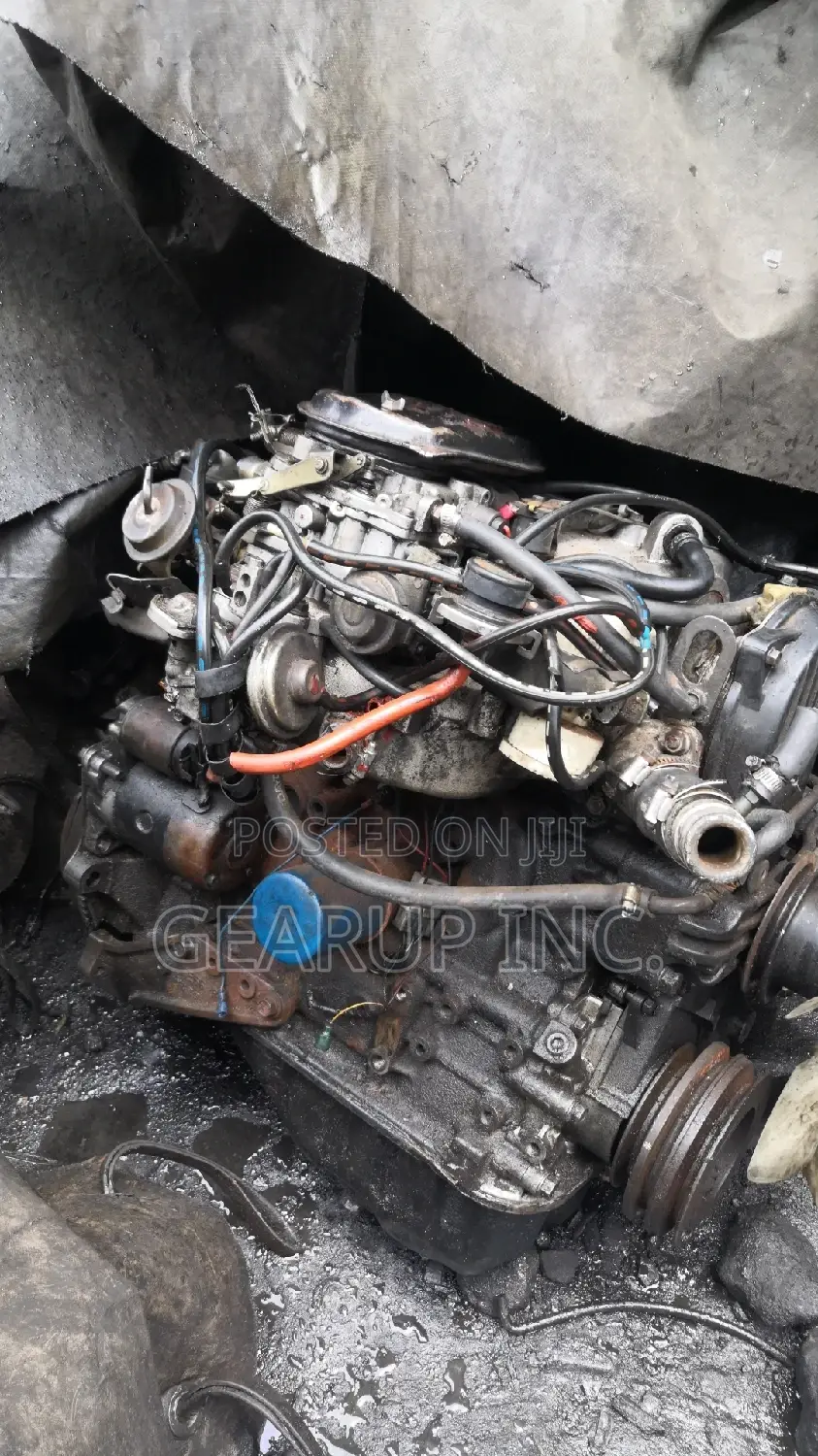 Direct Belgium Complete Engine for Ford Bus F8