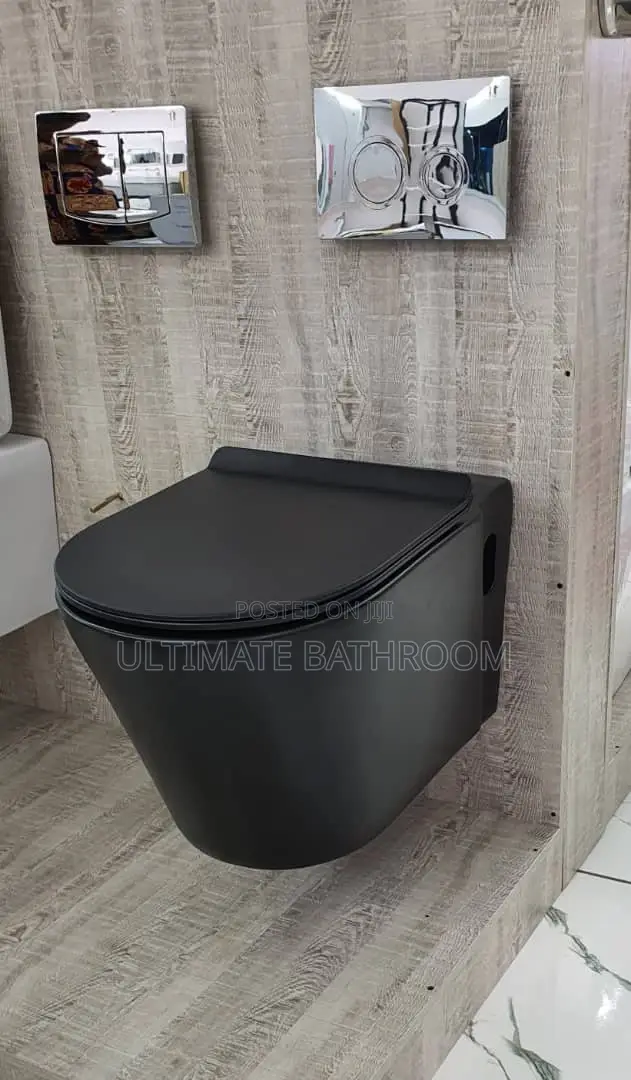 Round Black Conceal Watercloset