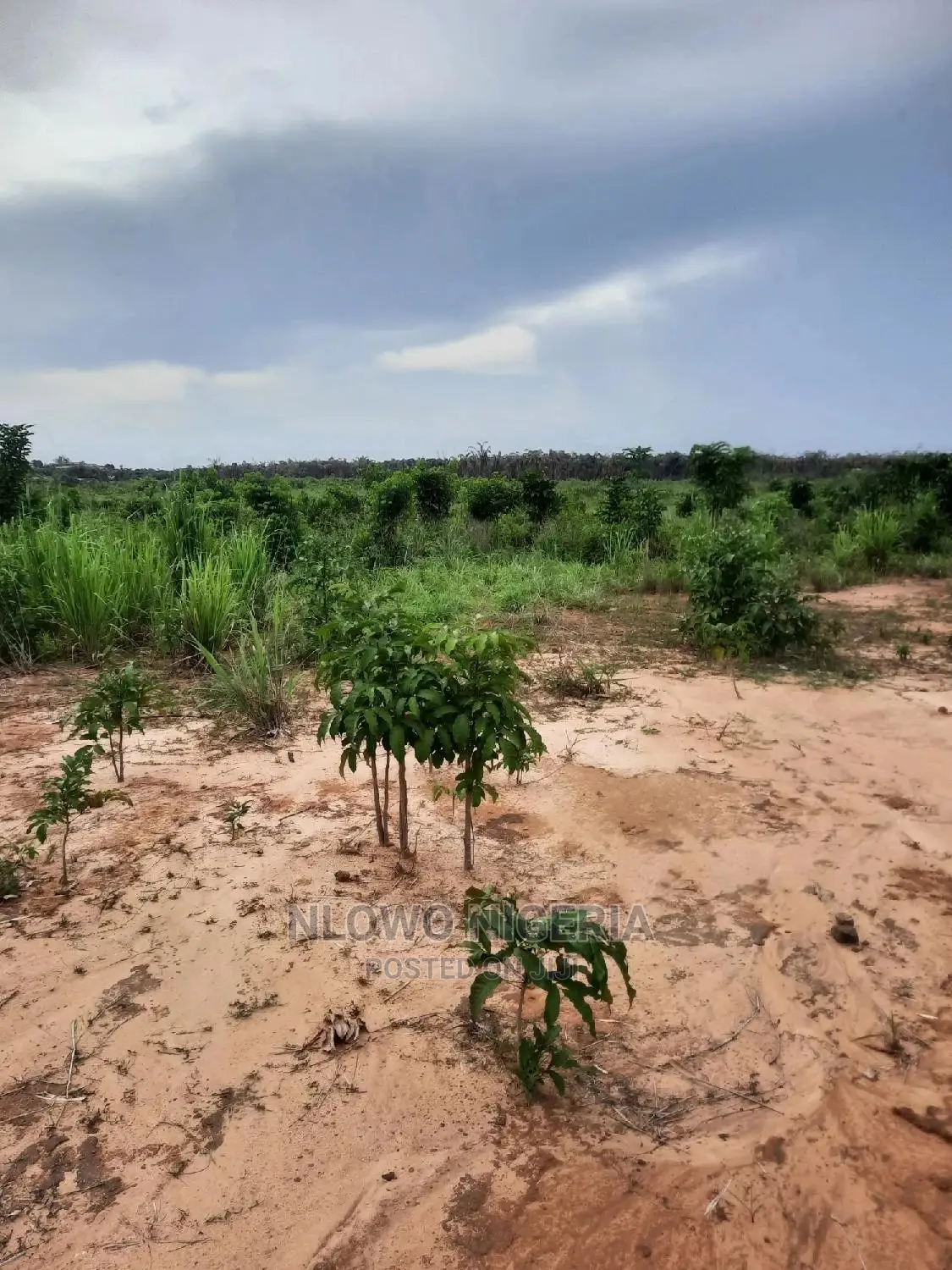 Land for Sale at Oke Oko Isawo Agric Ikorodu Lagos