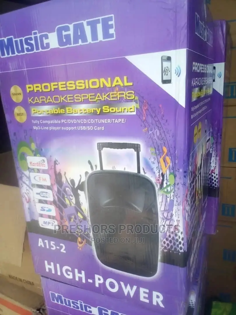 5000 Watts 15 Inches High Power Pa System