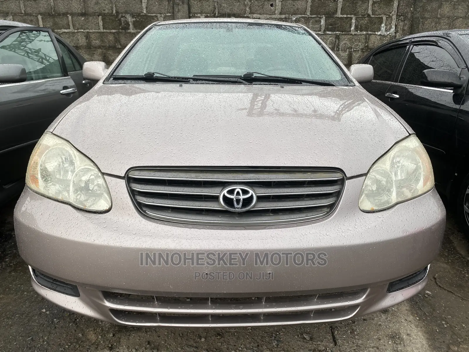 Toyota Corolla LE 2004 Gold