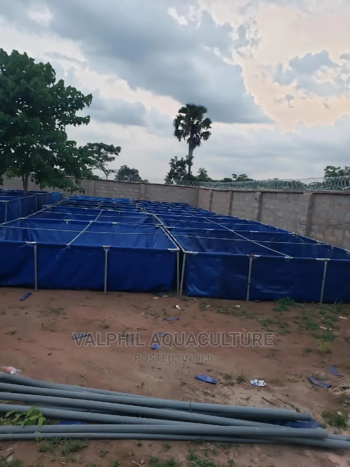 Massive Tarpaulin Fish Pond