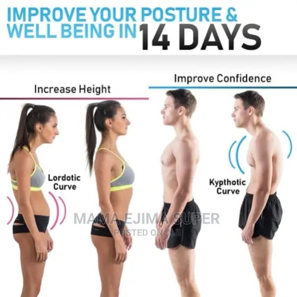 Posture Support Brace
