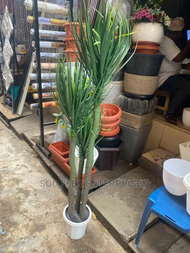 Imported Flower And Pot